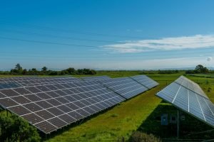 pexels-erod-photos-1023772446-20844067